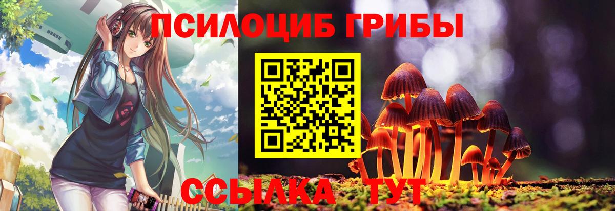 Псилоцибиновые грибы Psilocybe  Псилоцибиновые грибы ЛСД  Вход с VPN  Малгобек 