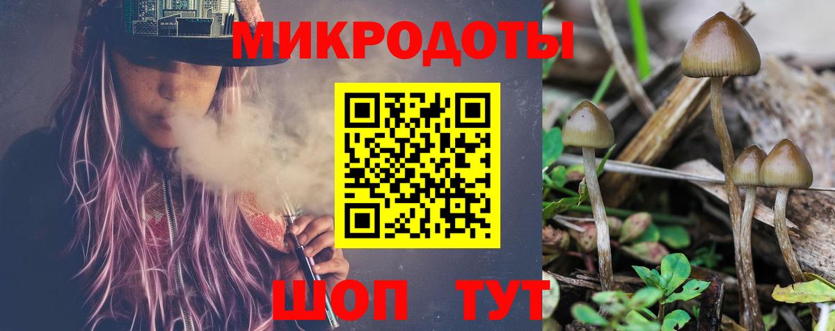 Псилоцибиновые грибы GOLDEN TEACHER Малгобек